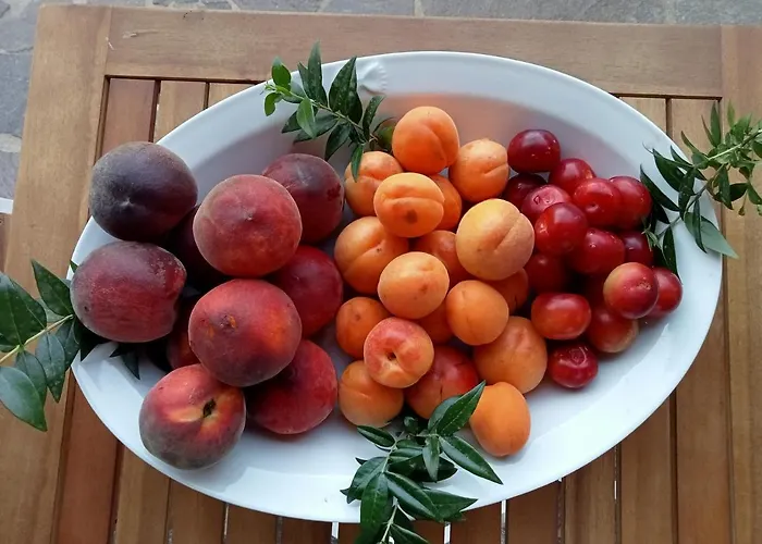Panzió Il Sentiero San Sperate